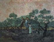Vincent Van Gogh, the olive pickers,saint remy,1889